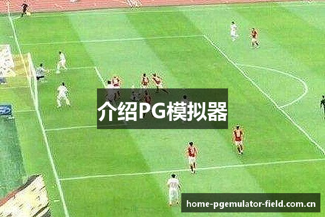 介绍PG模拟器